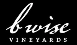 B Wise Vineyard Moon Mountain District Cabernet Sauvignon