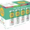 High Noon Spirits Vodka Soda Variety Pack